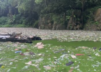 Meghalaya Chief Minister Conrad K Sangma is monitoring the overall implementation of the project. Meghalaya Chief Minister Conrad K Sangma is monitoring the overall implementation of the project.