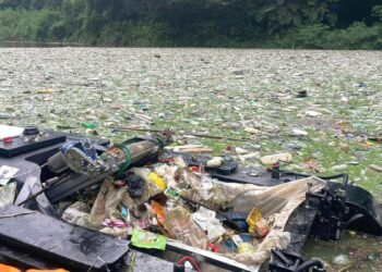 media-Roboticlake media-Roboticlake