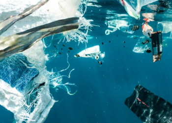 AI-powered boat AI-powered boat